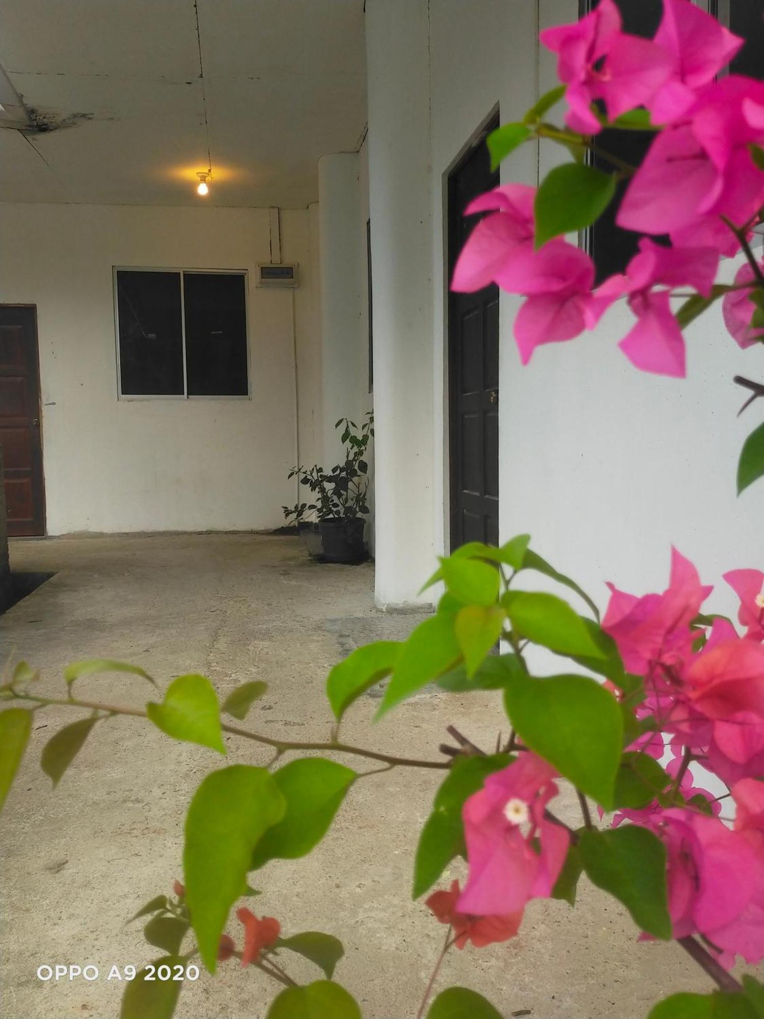 Sukau Tomanggong View Bed & Breakfast Exterior foto