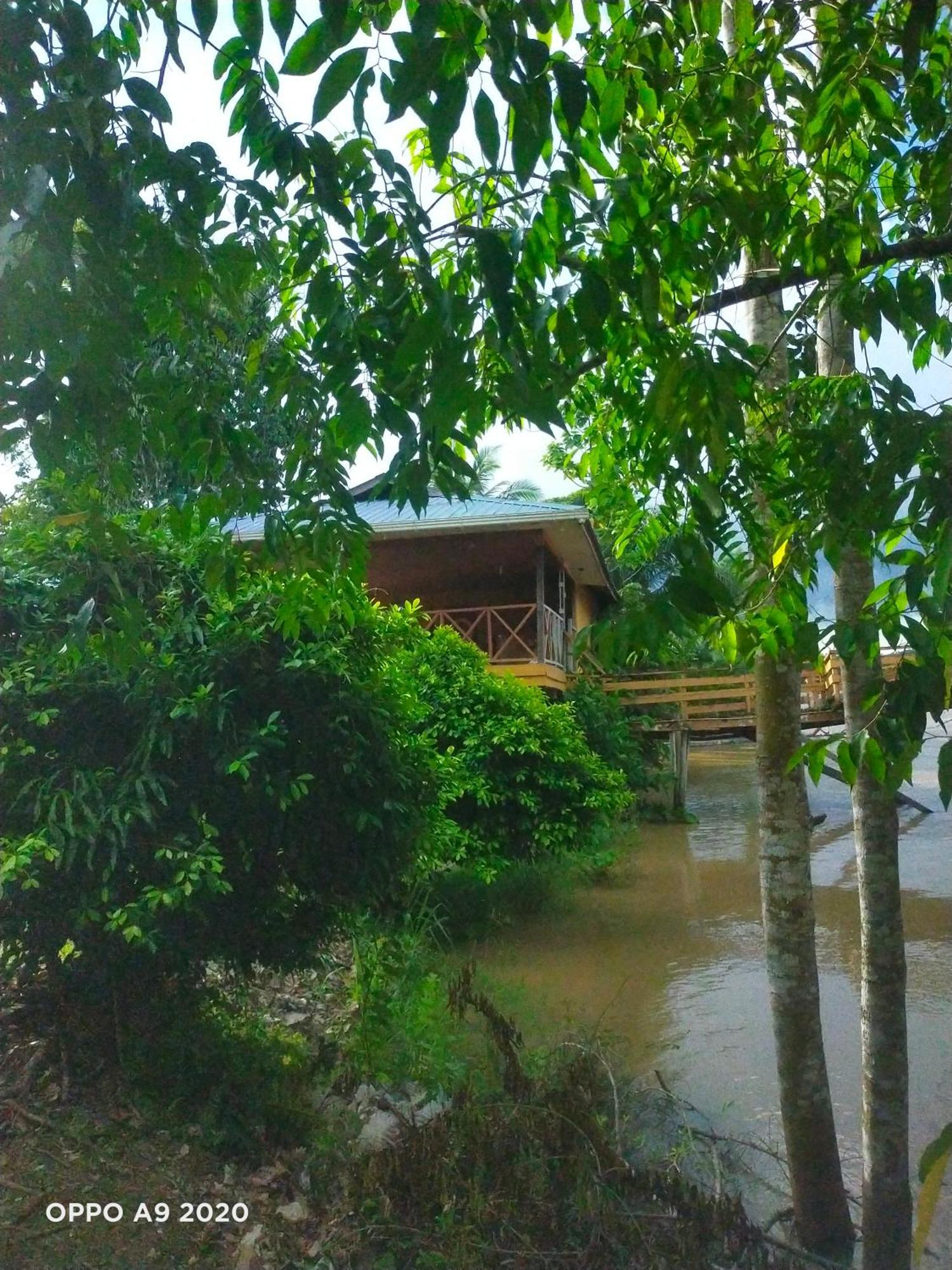 Sukau Tomanggong View Bed & Breakfast Exterior foto